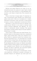 Мед мудрости — фото, картинка — 2