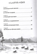 Призрак старой усадьбы — фото, картинка — 4