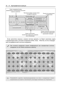 Визуализация пространственных данных в QGIS — фото, картинка — 20