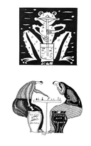 Личные песни об общей бездне — фото, картинка — 17