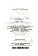 Большая махинация — фото, картинка — 20