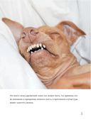 Туна. История собаки-улыбаки — фото, картинка — 15