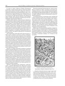 История России с древнейших времен — фото, картинка — 104