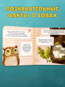 Совушка в лесу. Первая книга малыша о природе — фото, картинка — 4