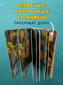 Совушка в лесу. Первая книга малыша о природе — фото, картинка — 6