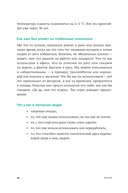 Бережное потребление на практике: как полюбить себя, окружающих и планету — фото, картинка — 19