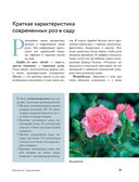 Розы в саду. Практический курс начинающего розовода — фото, картинка — 16
