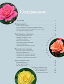 Розы в саду. Практический курс начинающего розовода — фото, картинка — 3