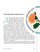 Розы в саду. Практический курс начинающего розовода — фото, картинка — 26