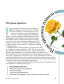 Розы в саду. Практический курс начинающего розовода — фото, картинка — 8