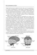 Как подготовить мозг ребёнка к обучению: 52 стратегии для развития детского интеллекта — фото, картинка — 12
