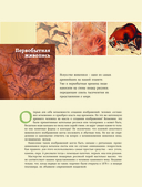 Живопись. Искусство понимать — фото, картинка — 6