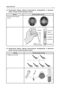ЕГЭ по биологии. Тематический тренинг — фото, картинка — 11