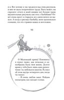 Маленький принц. Южный почтовый. Ночной полет — фото, картинка — 24