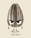 Плохое семечко — фото, картинка — 1