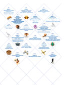 Оригами. Большая иллюстрированная энциклопедия. Продвинутый уровень — фото, картинка — 2